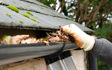 gutter cleaning Buckland Dinham, Somerset