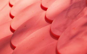 Buckland Dinham plastic roof costs