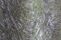 Buckland Dinham fibreglass roof work